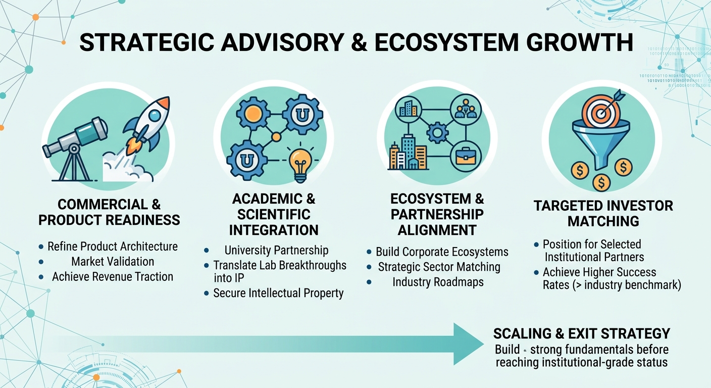 Strategic Advisory Beyond Traditional Venture Capital for Scale-Ups and Research Spin-Outs Georgia